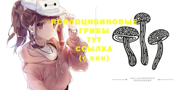 дурь Новокубанск