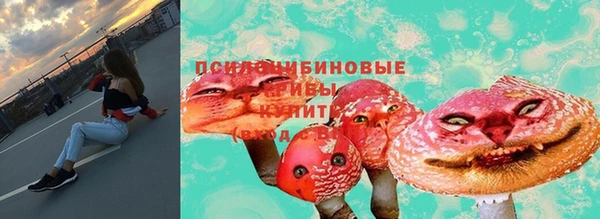 дурь Новокубанск