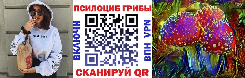 Галлюциногенные грибы Cubensis Лабытнанги