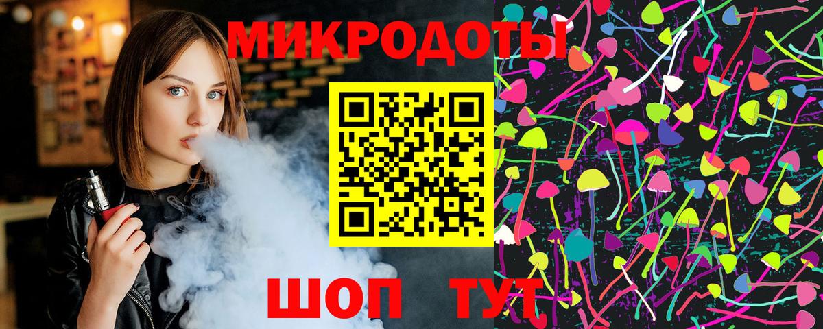 Псилоцибиновые грибы Psilocybine cubensis Лабытнанги