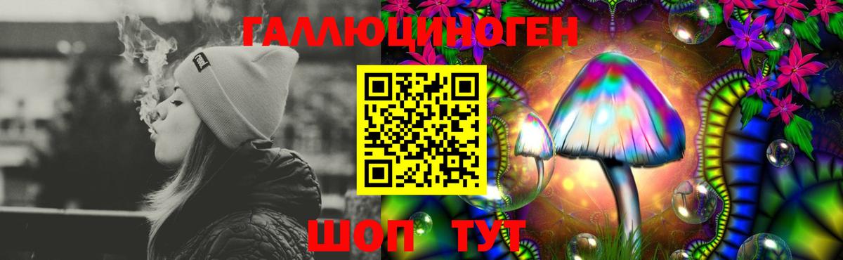 Псилоцибиновые грибы Cubensis  Вход с VPN  Лабытнанги 